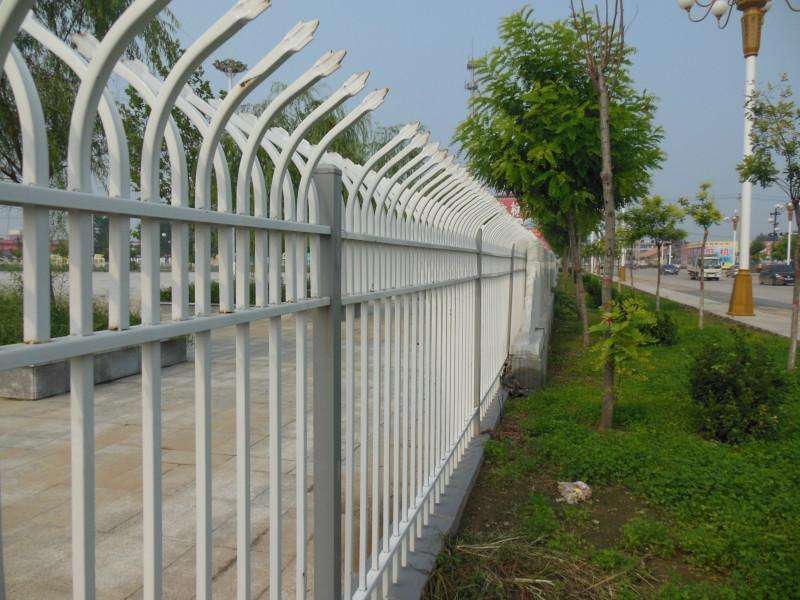 1523408796109873.jpg 護欄網(wǎng),市政護欄網(wǎng),欄網(wǎng)廠家