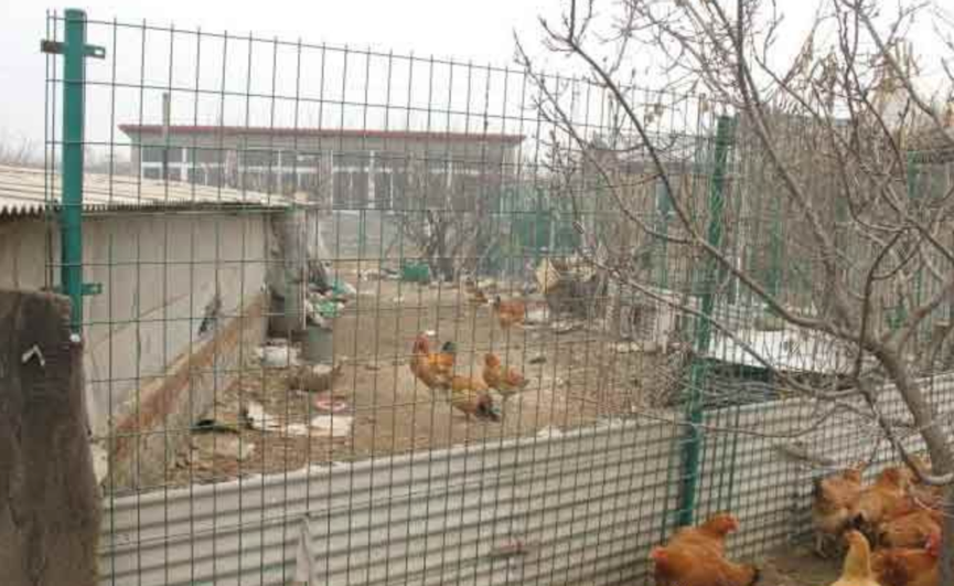 1524382173432856.png 護(hù)欄網(wǎng),市政護(hù)欄網(wǎng),欄網(wǎng)廠家