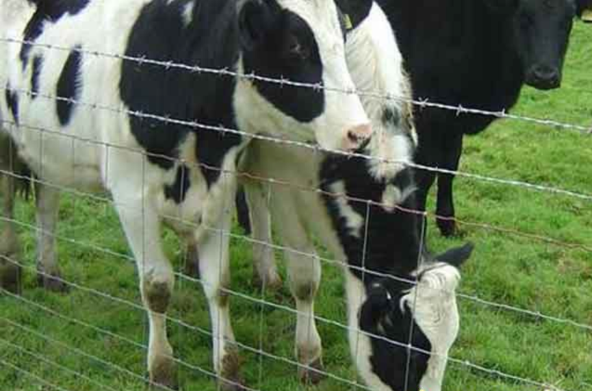 1524382173991409.png 護(hù)欄網(wǎng),市政護(hù)欄網(wǎng),欄網(wǎng)廠家