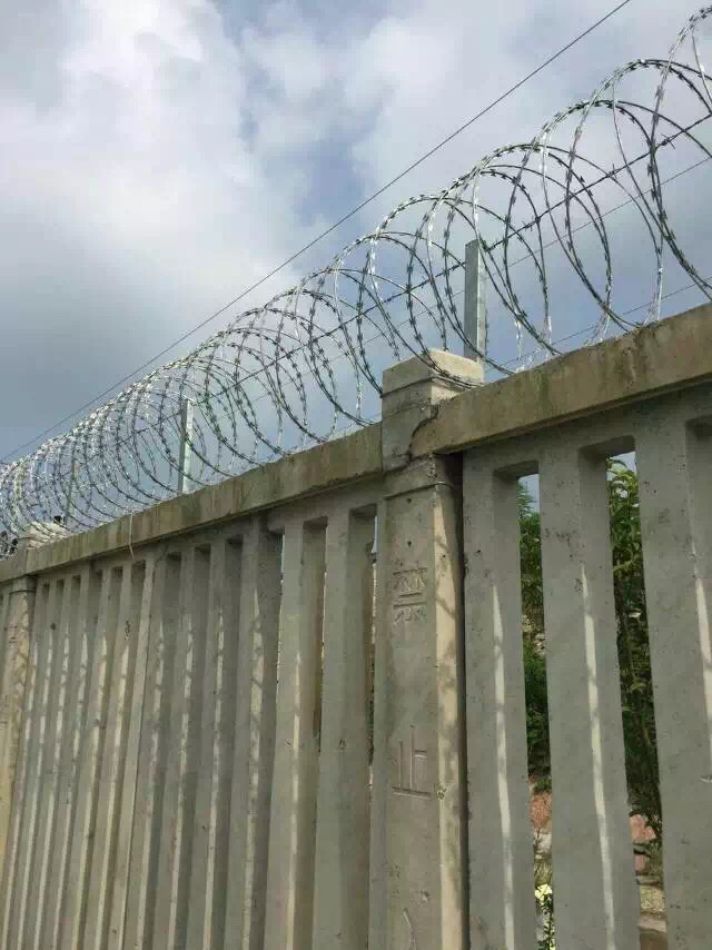 1568931447520719.jpg 護(hù)欄網(wǎng),市政護(hù)欄網(wǎng),欄網(wǎng)廠家