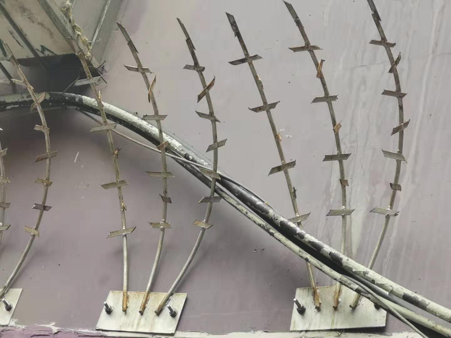 1568931447942322.jpg 護(hù)欄網(wǎng),市政護(hù)欄網(wǎng),欄網(wǎng)廠家