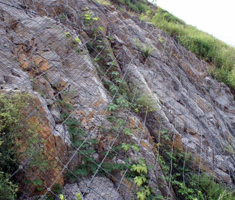 柔性邊坡防護網(wǎng) 柔性邊坡防護網(wǎng)