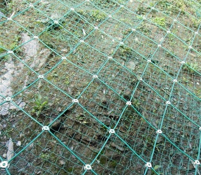 菱形防護(hù)網(wǎng) 菱形防護(hù)網(wǎng)