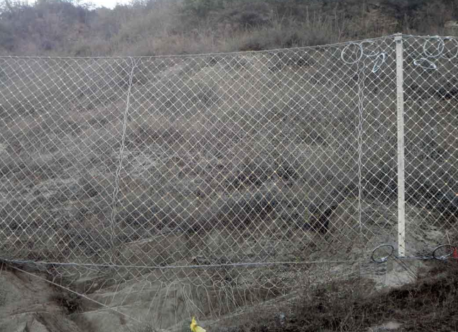 邊坡被動(dòng)防護(hù)網(wǎng)