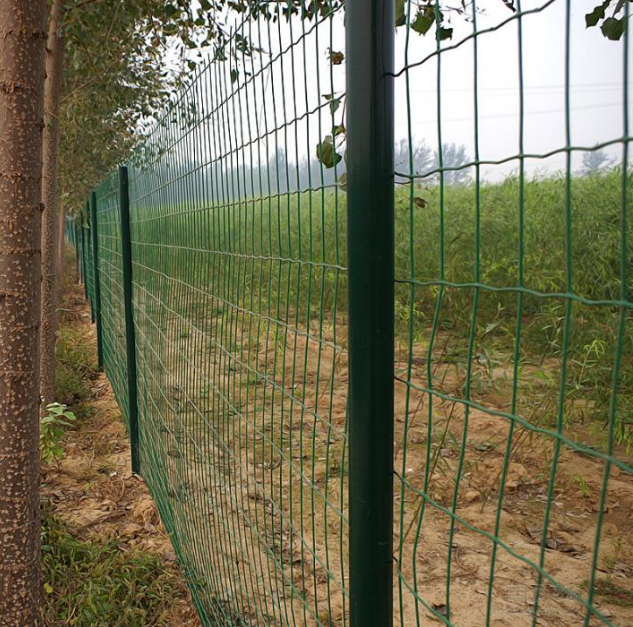 雙邊隔離柵 雙邊隔離柵