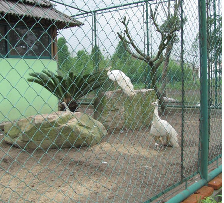 籃球場圍欄網(wǎng) 籃球場圍欄網(wǎng)