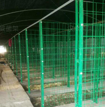 出菇網(wǎng)架 出菇網(wǎng)架