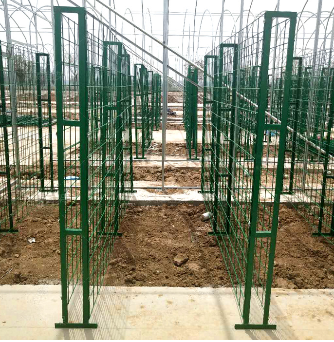 食用菌出菇架 食用菌出菇架