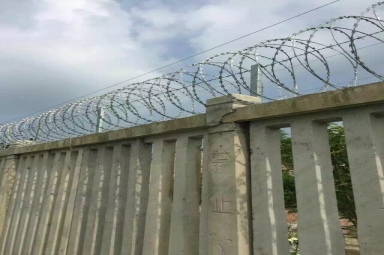 防爬鐵絲網(wǎng)